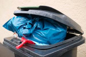 Empresa de coleta de resíduos sólidos